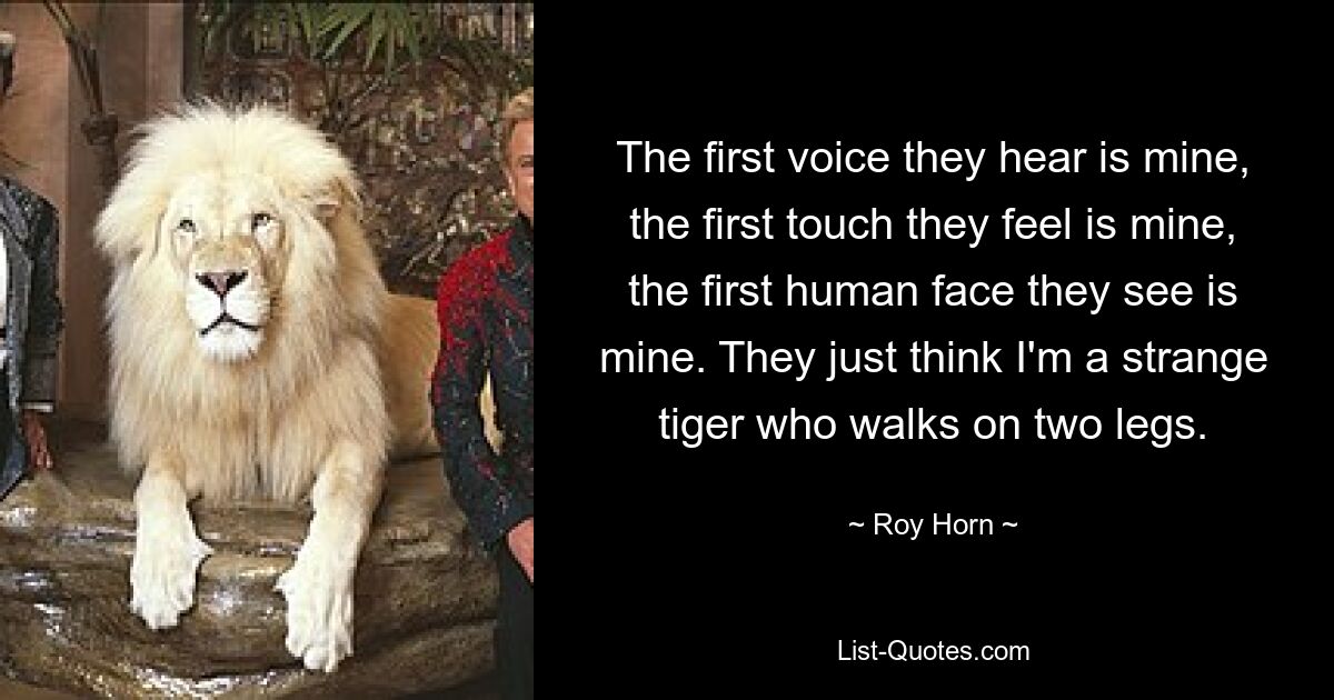 The first voice they hear is mine, the first touch they feel is mine, the first human face they see is mine. They just think I'm a strange tiger who walks on two legs. — © Roy Horn