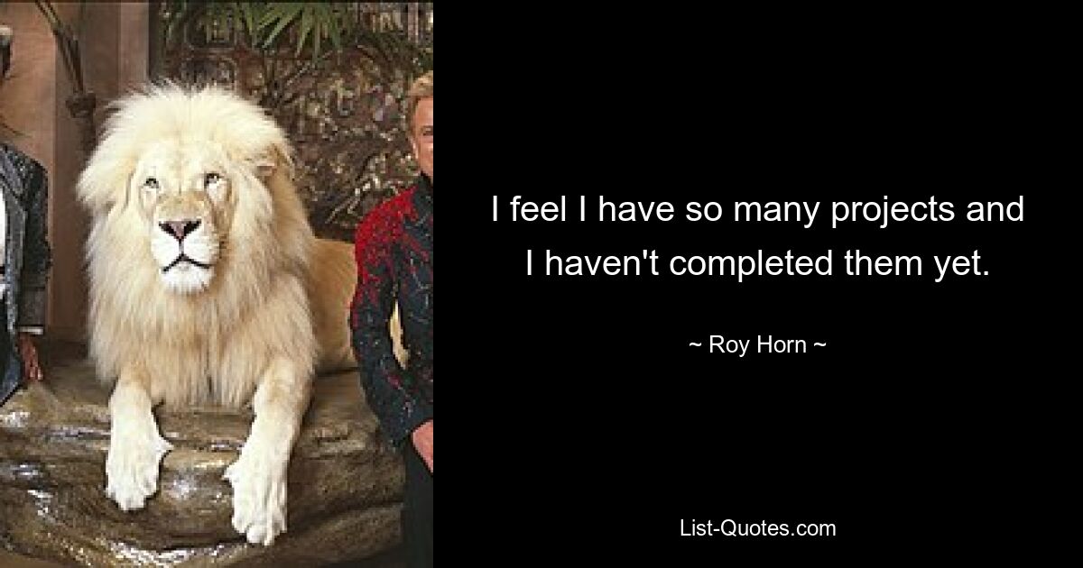 I feel I have so many projects and I haven't completed them yet. — © Roy Horn