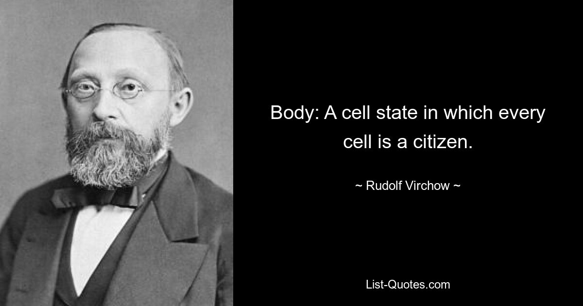 Body: A cell state in which every cell is a citizen. — © Rudolf Virchow