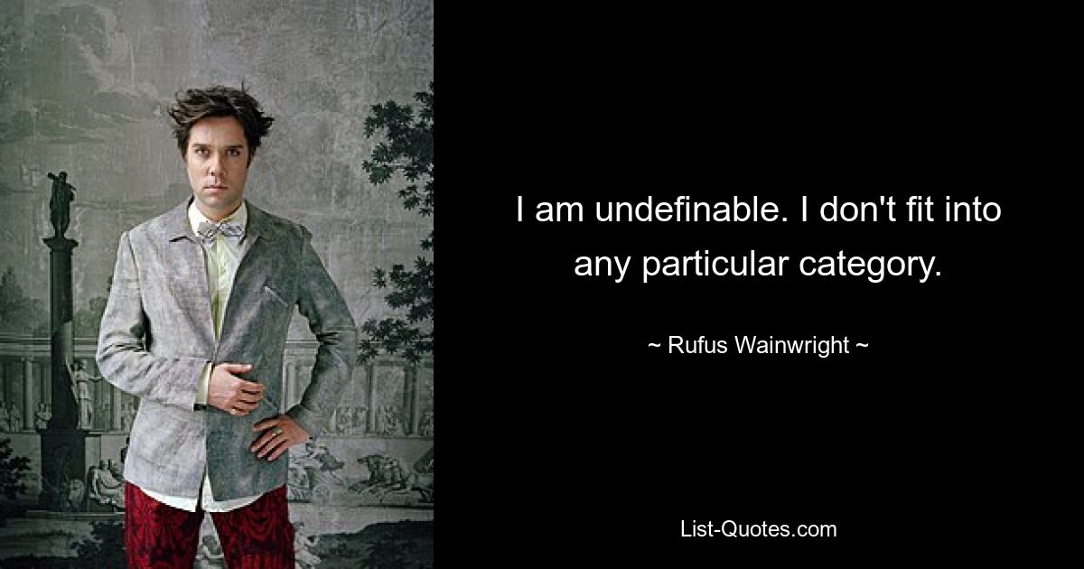 I am undefinable. I don't fit into any particular category. — © Rufus Wainwright