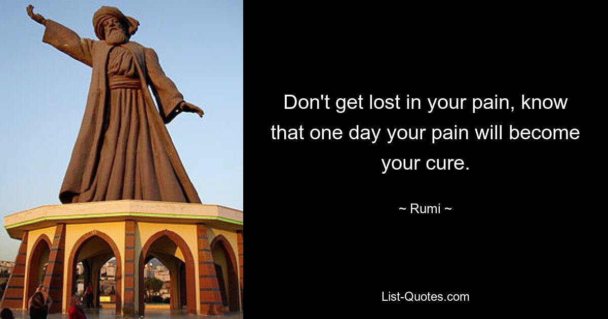 Don't get lost in your pain, know that one day your pain will become your cure. — © Rumi