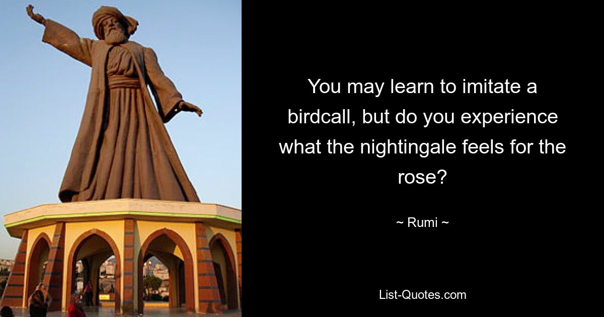 You may learn to imitate a birdcall, but do you experience what the nightingale feels for the rose? — © Rumi