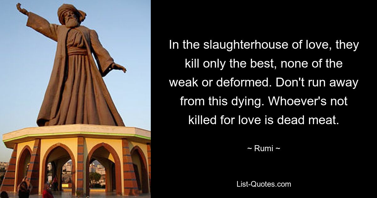 In the slaughterhouse of love, they kill only the best, none of the weak or deformed. Don't run away from this dying. Whoever's not killed for love is dead meat. — © Rumi