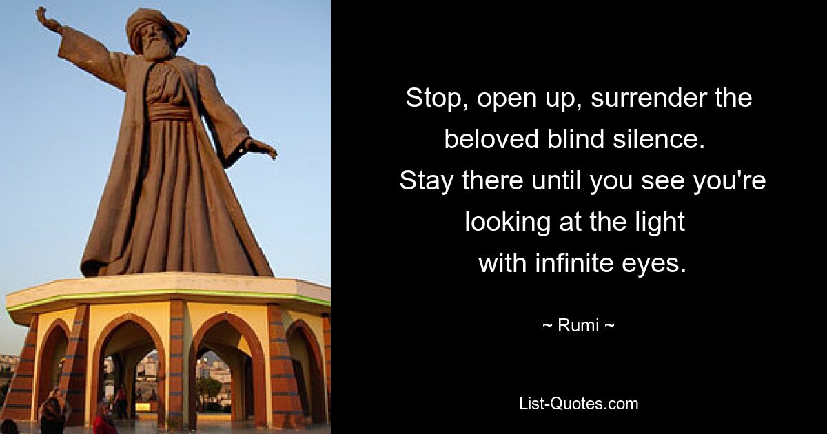 Stop, open up, surrender the beloved blind silence. 
 Stay there until you see you're looking at the light 
 with infinite eyes. — © Rumi