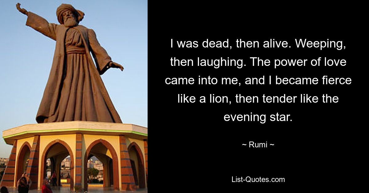 I was dead, then alive. Weeping, then laughing. The power of love came into me, and I became fierce like a lion, then tender like the evening star. — © Rumi