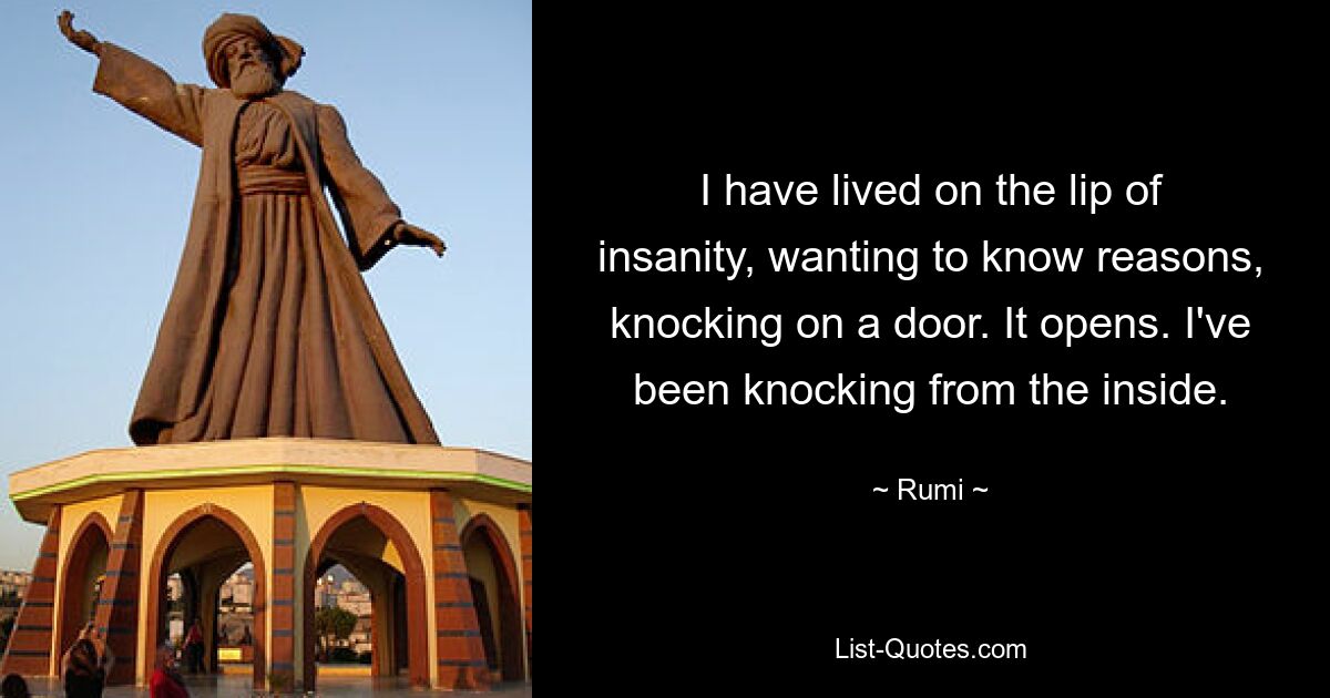 I have lived on the lip of insanity, wanting to know reasons, knocking on a door. It opens. I've been knocking from the inside. — © Rumi