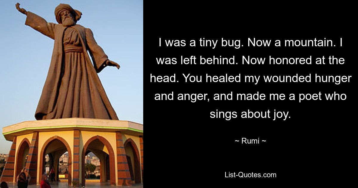 I was a tiny bug. Now a mountain. I was left behind. Now honored at the head. You healed my wounded hunger and anger, and made me a poet who sings about joy. — © Rumi