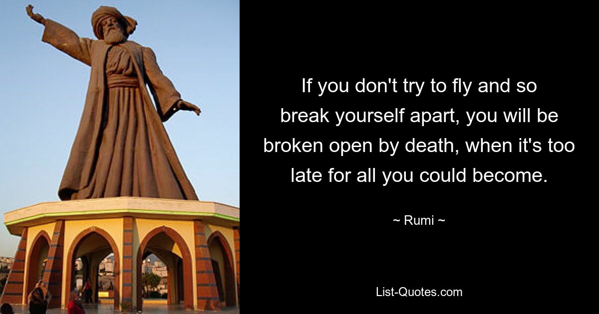 If you don't try to fly and so break yourself apart, you will be broken open by death, when it's too late for all you could become. — © Rumi