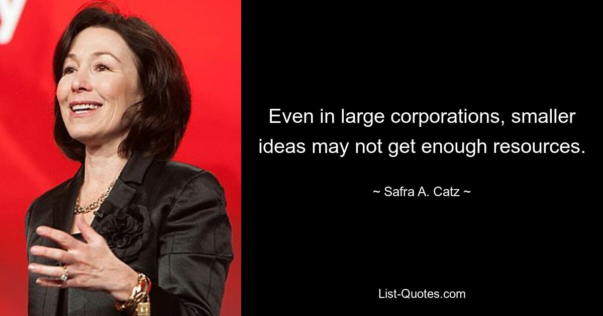 Even in large corporations, smaller ideas may not get enough resources. — © Safra A. Catz