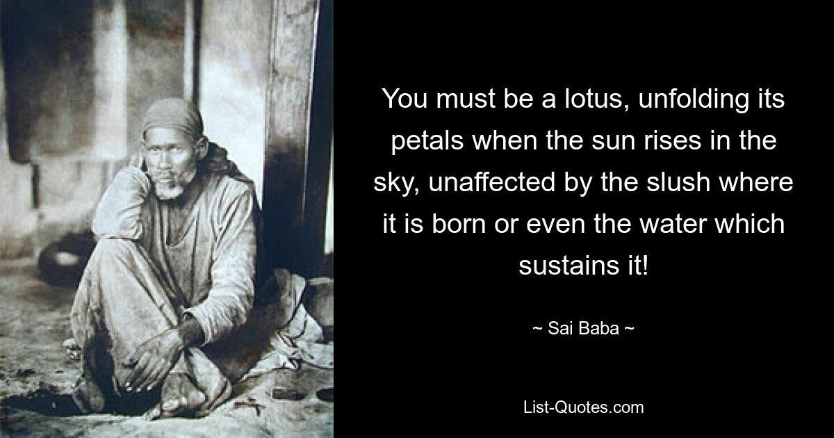 You must be a lotus, unfolding its petals when the sun rises in the sky, unaffected by the slush where it is born or even the water which sustains it! — © Sai Baba