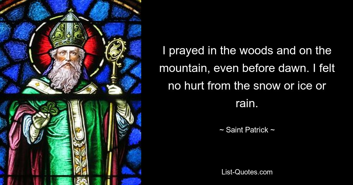 I prayed in the woods and on the mountain, even before dawn. I felt no hurt from the snow or ice or rain. — © Saint Patrick