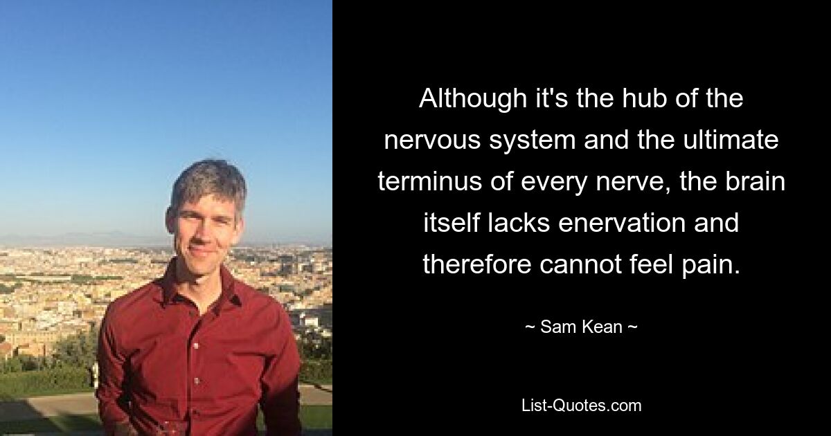 Although it's the hub of the nervous system and the ultimate terminus of every nerve, the brain itself lacks enervation and therefore cannot feel pain. — © Sam Kean