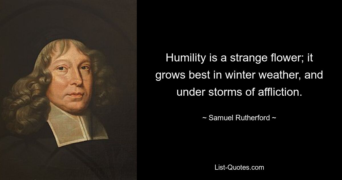 Humility is a strange flower; it grows best in winter weather, and under storms of affliction. — © Samuel Rutherford