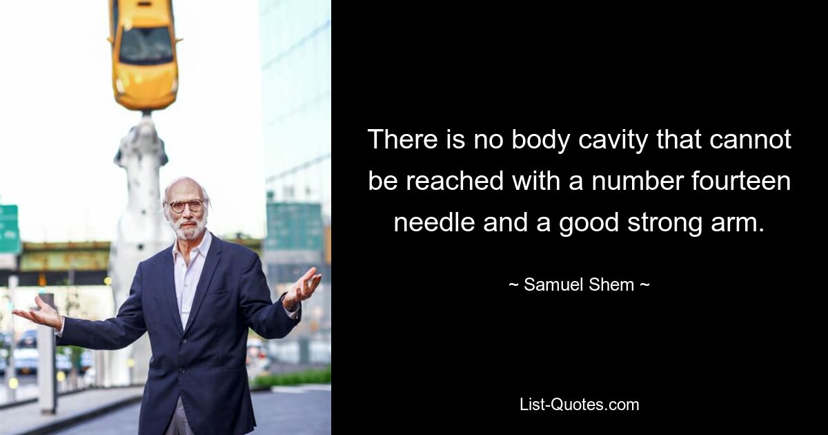 There is no body cavity that cannot be reached with a number fourteen needle and a good strong arm. — © Samuel Shem