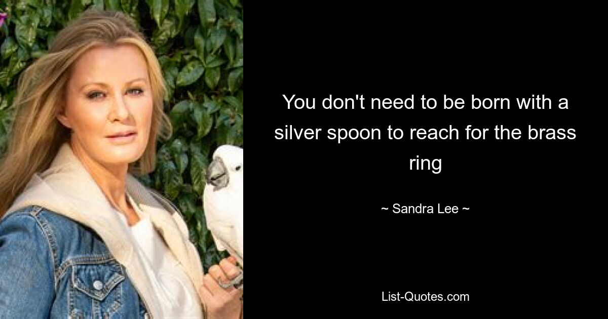 You don't need to be born with a silver spoon to reach for the brass ring — © Sandra Lee