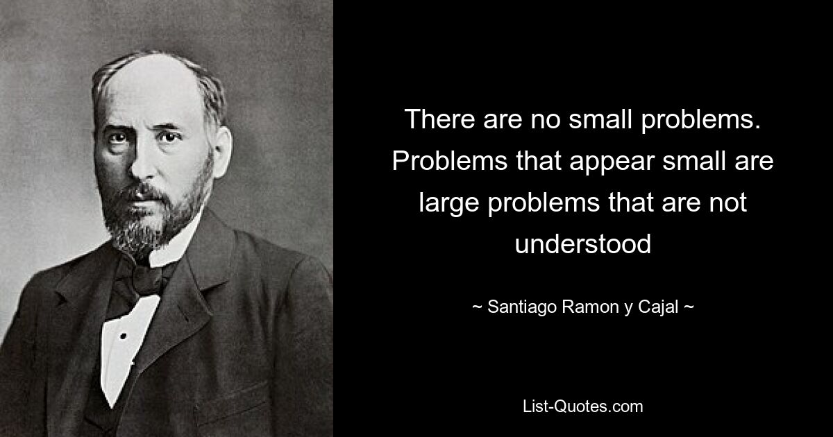 There are no small problems. Problems that appear small are large problems that are not understood — © Santiago Ramon y Cajal