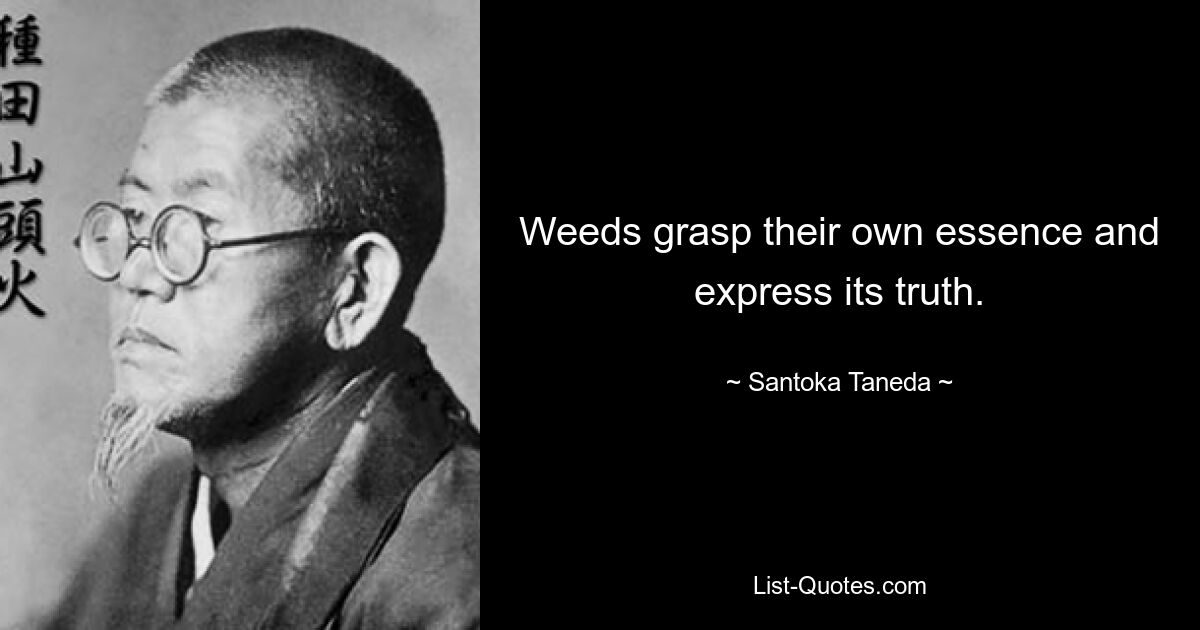 Weeds grasp their own essence and express its truth. — © Santoka Taneda