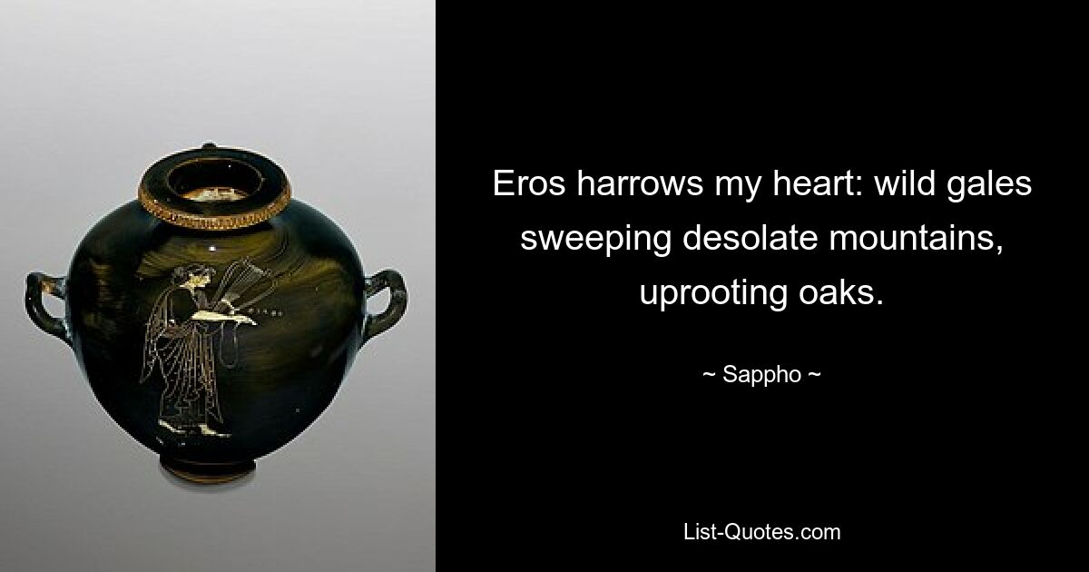 Eros harrows my heart: wild gales sweeping desolate mountains, uprooting oaks. — © Sappho