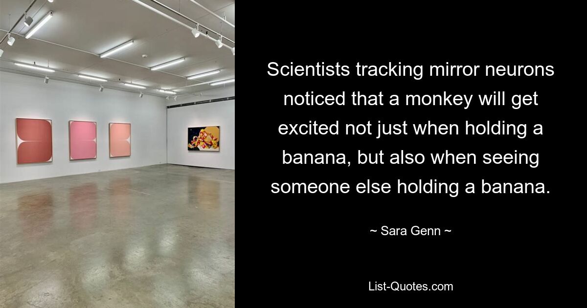 Scientists tracking mirror neurons noticed that a monkey will get excited not just when holding a banana, but also when seeing someone else holding a banana. — © Sara Genn