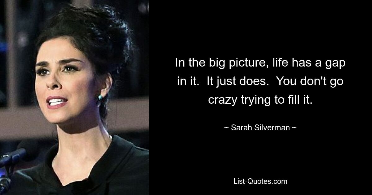 In the big picture, life has a gap in it.  It just does.  You don't go crazy trying to fill it. — © Sarah Silverman