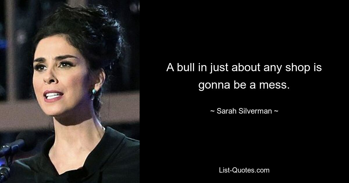 A bull in just about any shop is gonna be a mess. — © Sarah Silverman