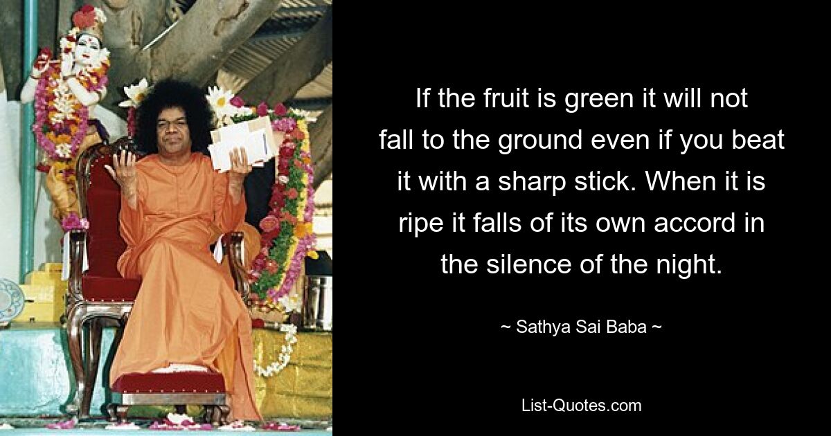 If the fruit is green it will not fall to the ground even if you beat it with a sharp stick. When it is ripe it falls of its own accord in the silence of the night. — © Sathya Sai Baba