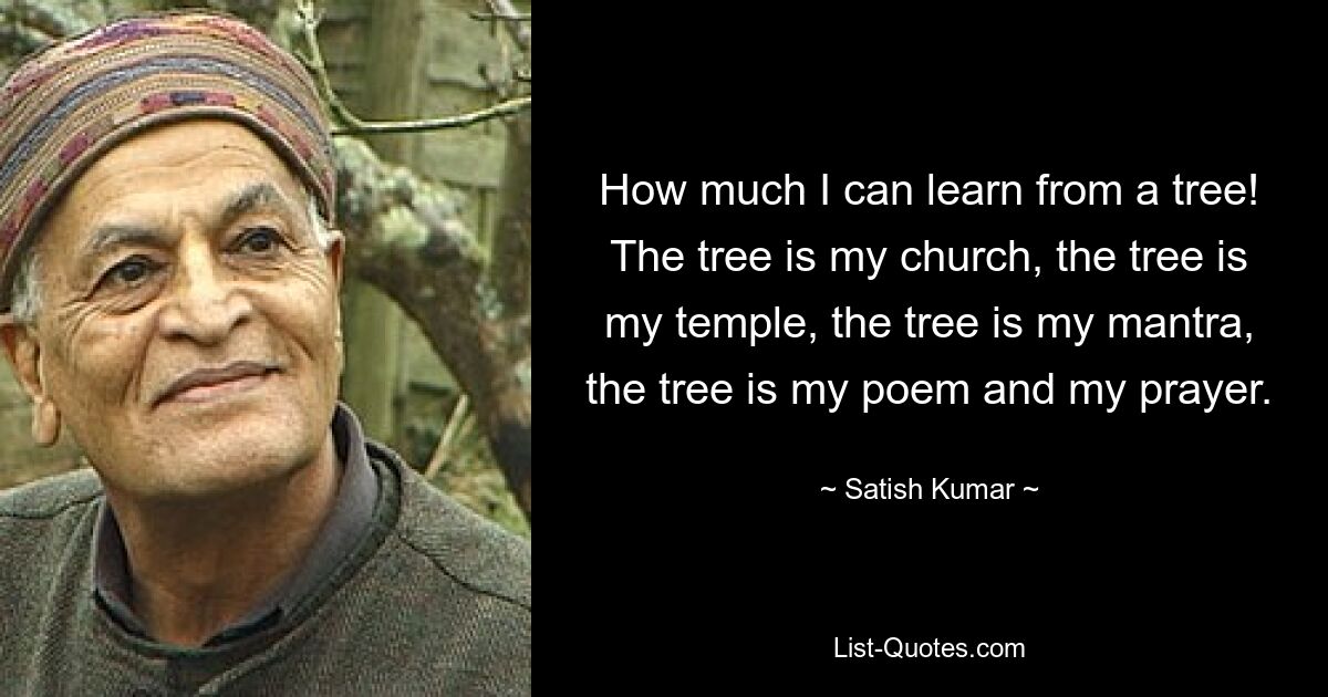 How much I can learn from a tree! The tree is my church, the tree is my temple, the tree is my mantra, the tree is my poem and my prayer. — © Satish Kumar