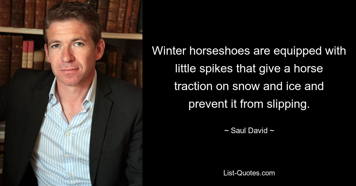 Winter horseshoes are equipped with little spikes that give a horse traction on snow and ice and prevent it from slipping. — © Saul David