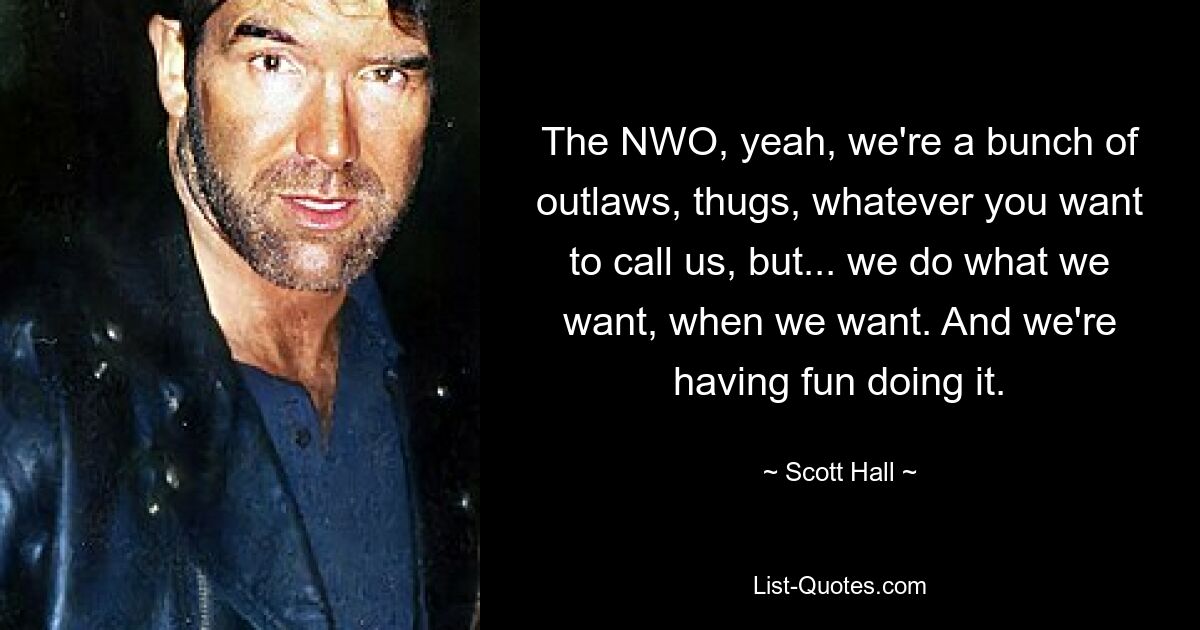 The NWO, yeah, we're a bunch of outlaws, thugs, whatever you want to call us, but... we do what we want, when we want. And we're having fun doing it. — © Scott Hall