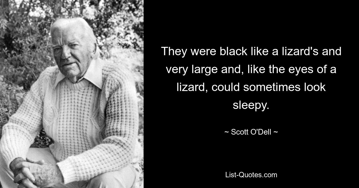 They were black like a lizard's and very large and, like the eyes of a lizard, could sometimes look sleepy. — © Scott O'Dell