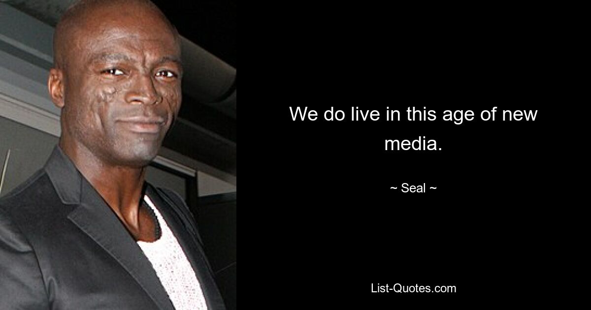 We do live in this age of new media. — © Seal