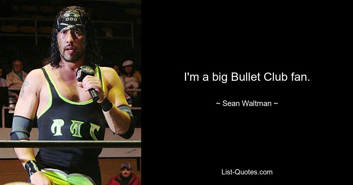 I'm a big Bullet Club fan. — © Sean Waltman