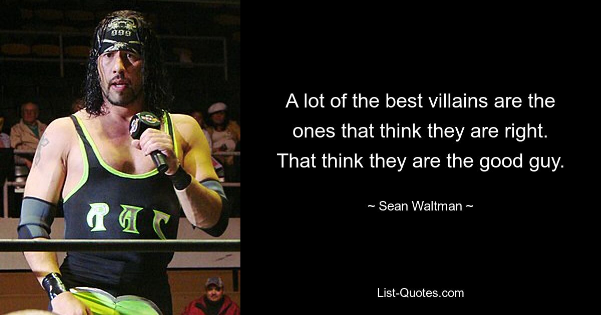 A lot of the best villains are the ones that think they are right. That think they are the good guy. — © Sean Waltman