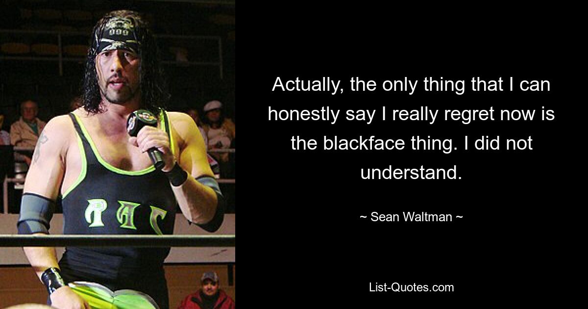 Actually, the only thing that I can honestly say I really regret now is the blackface thing. I did not understand. — © Sean Waltman