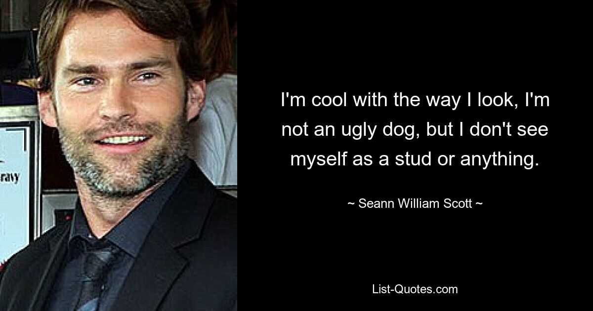 I'm cool with the way I look, I'm not an ugly dog, but I don't see myself as a stud or anything. — © Seann William Scott