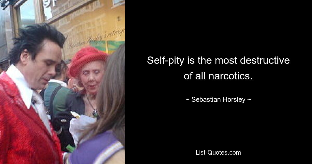 Self-pity is the most destructive of all narcotics. — © Sebastian Horsley