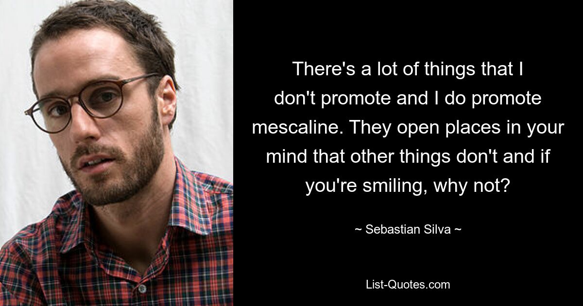 There's a lot of things that I don't promote and I do promote mescaline. They open places in your mind that other things don't and if you're smiling, why not? — © Sebastian Silva