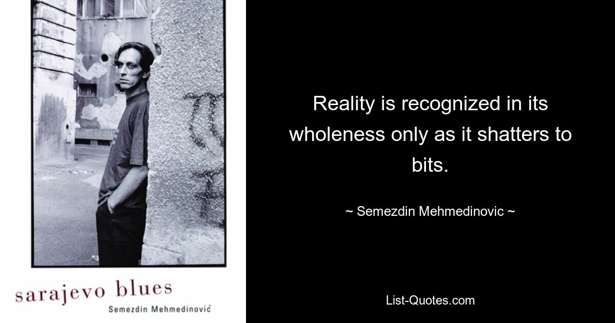 Reality is recognized in its wholeness only as it shatters to bits. — © Semezdin Mehmedinovic