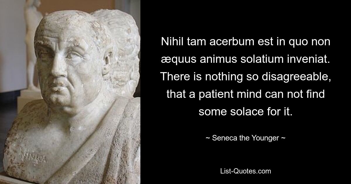 Nihil tam acerbum est in quo non æquus animus solatium inveniat.
There is nothing so disagreeable, that a patient mind can not find some solace for it. — © Seneca the Younger