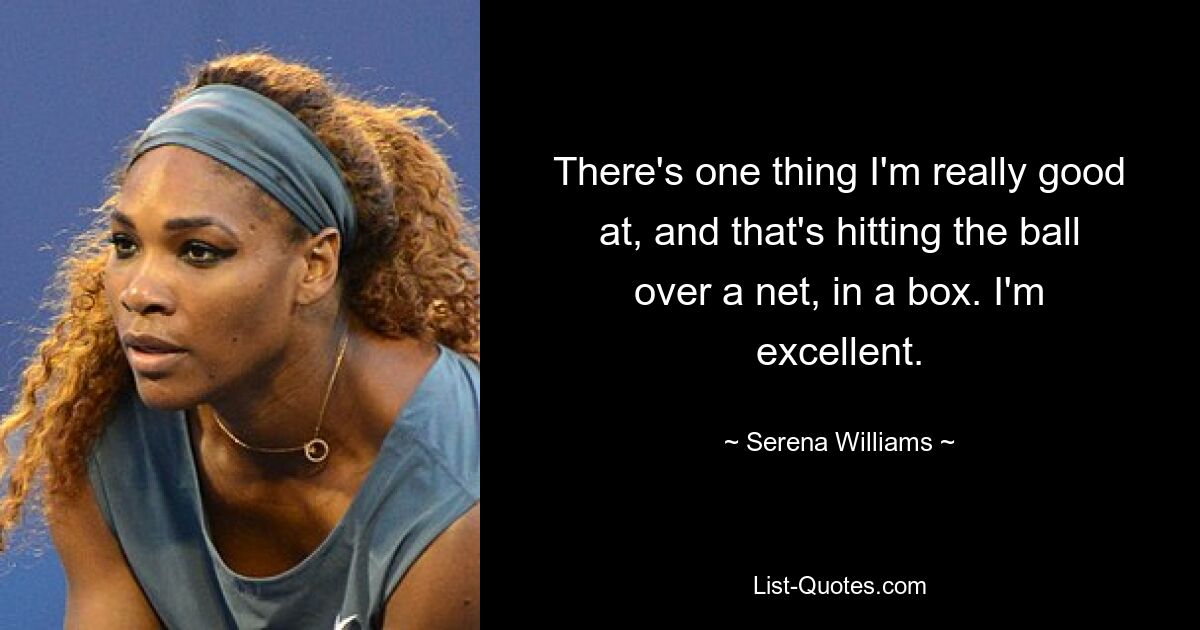 There's one thing I'm really good at, and that's hitting the ball over a net, in a box. I'm excellent. — © Serena Williams