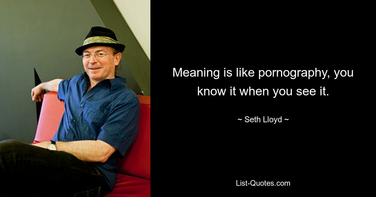 Meaning is like pornography, you know it when you see it. — © Seth Lloyd