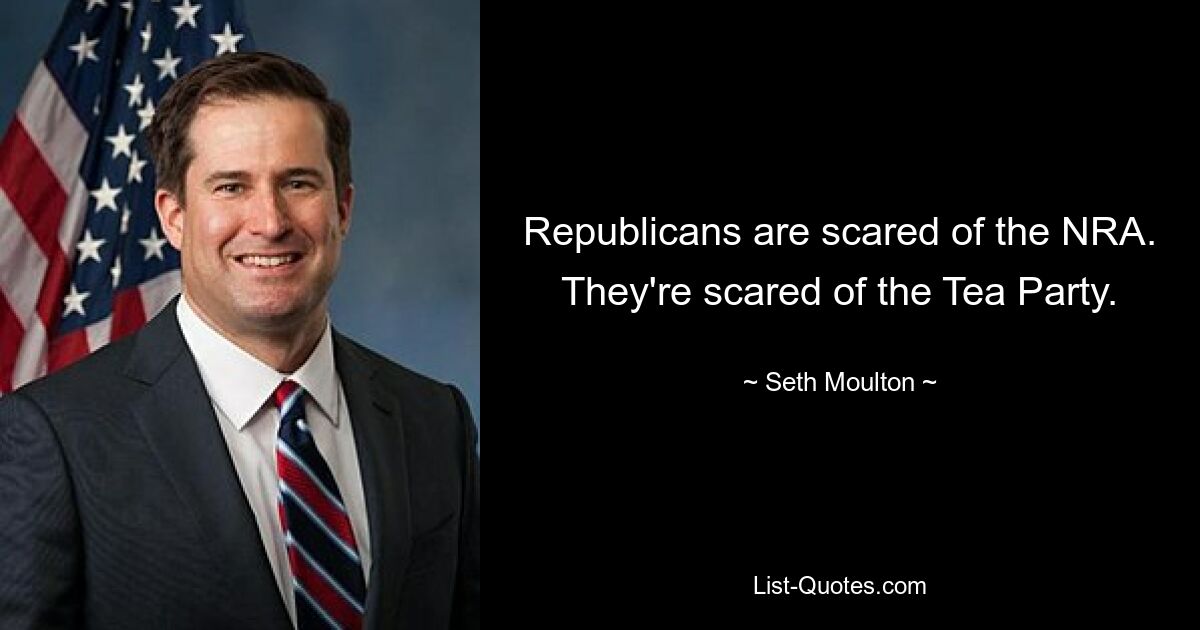 Republicans are scared of the NRA. They're scared of the Tea Party. — © Seth Moulton