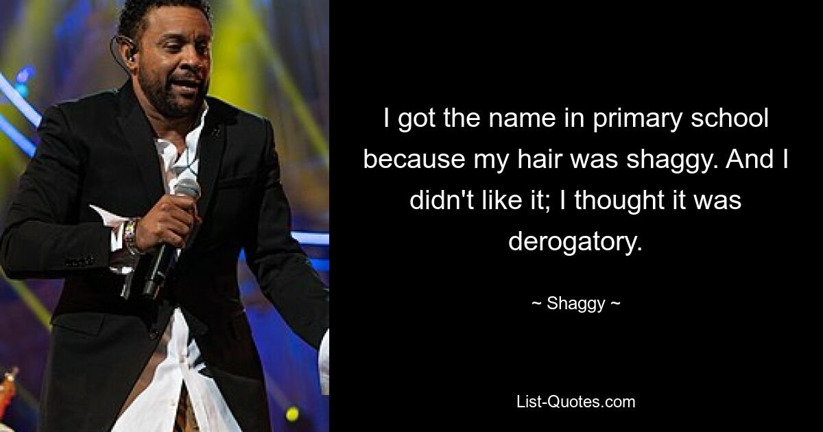 I got the name in primary school because my hair was shaggy. And I didn't like it; I thought it was derogatory. — © Shaggy