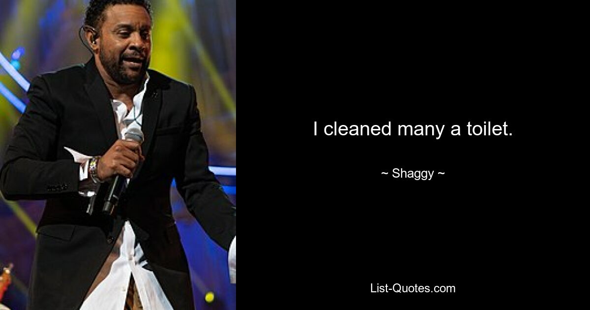 I cleaned many a toilet. — © Shaggy