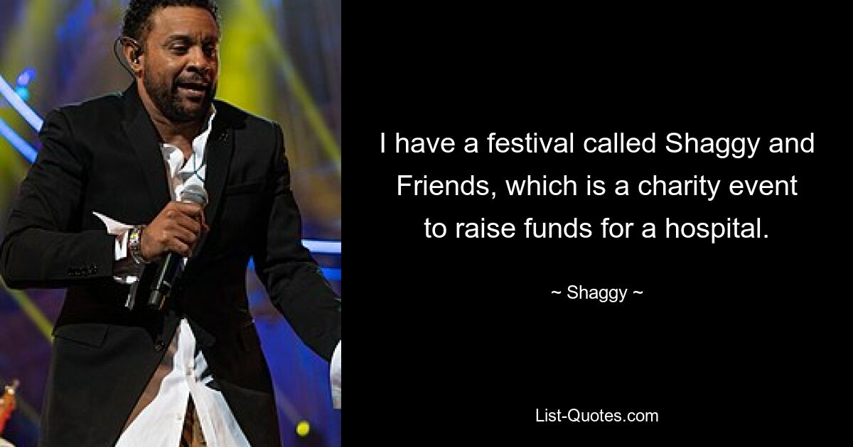 I have a festival called Shaggy and Friends, which is a charity event to raise funds for a hospital. — © Shaggy