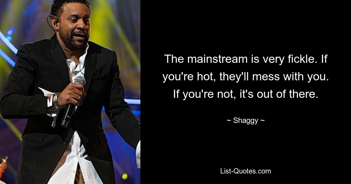 The mainstream is very fickle. If you're hot, they'll mess with you. If you're not, it's out of there. — © Shaggy