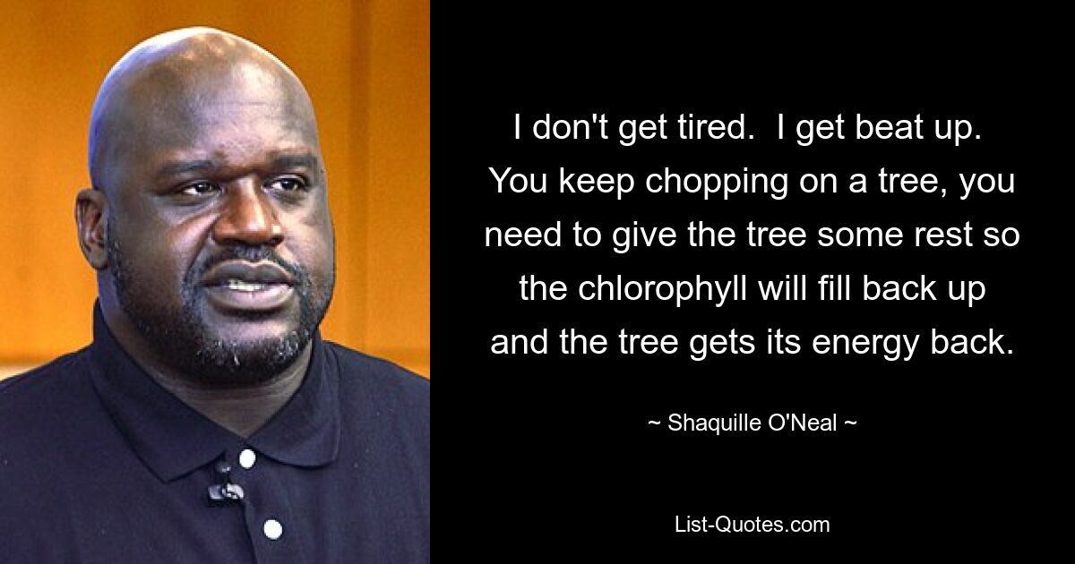 I don't get tired.  I get beat up.  You keep chopping on a tree, you need to give the tree some rest so the chlorophyll will fill back up and the tree gets its energy back. — © Shaquille O'Neal