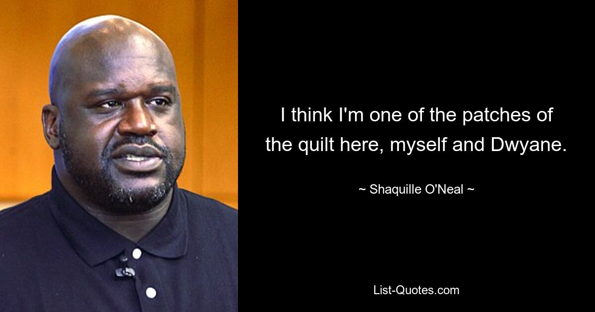 I think I'm one of the patches of the quilt here, myself and Dwyane. — © Shaquille O'Neal