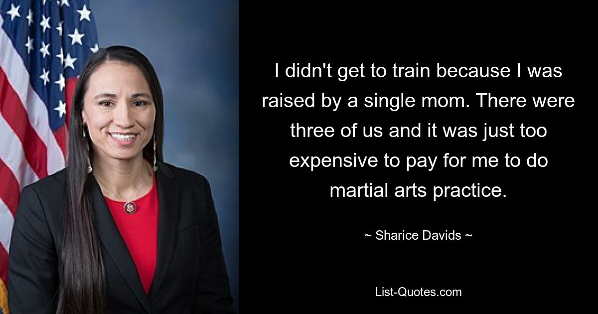 I didn't get to train because I was raised by a single mom. There were three of us and it was just too expensive to pay for me to do martial arts practice. — © Sharice Davids