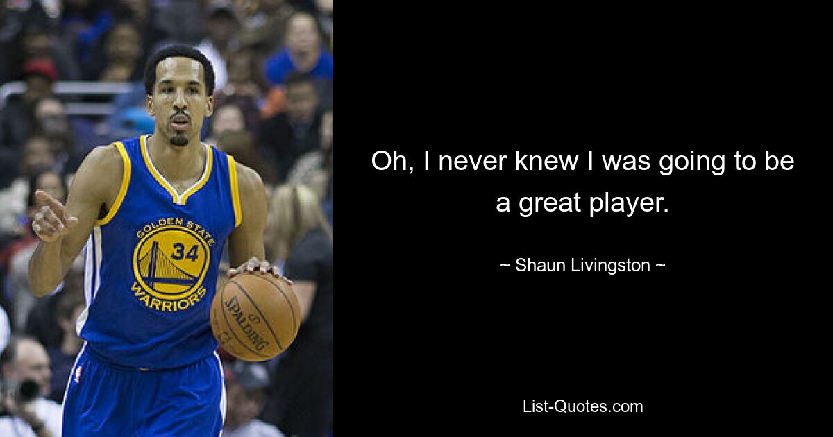 Oh, I never knew I was going to be a great player. — © Shaun Livingston